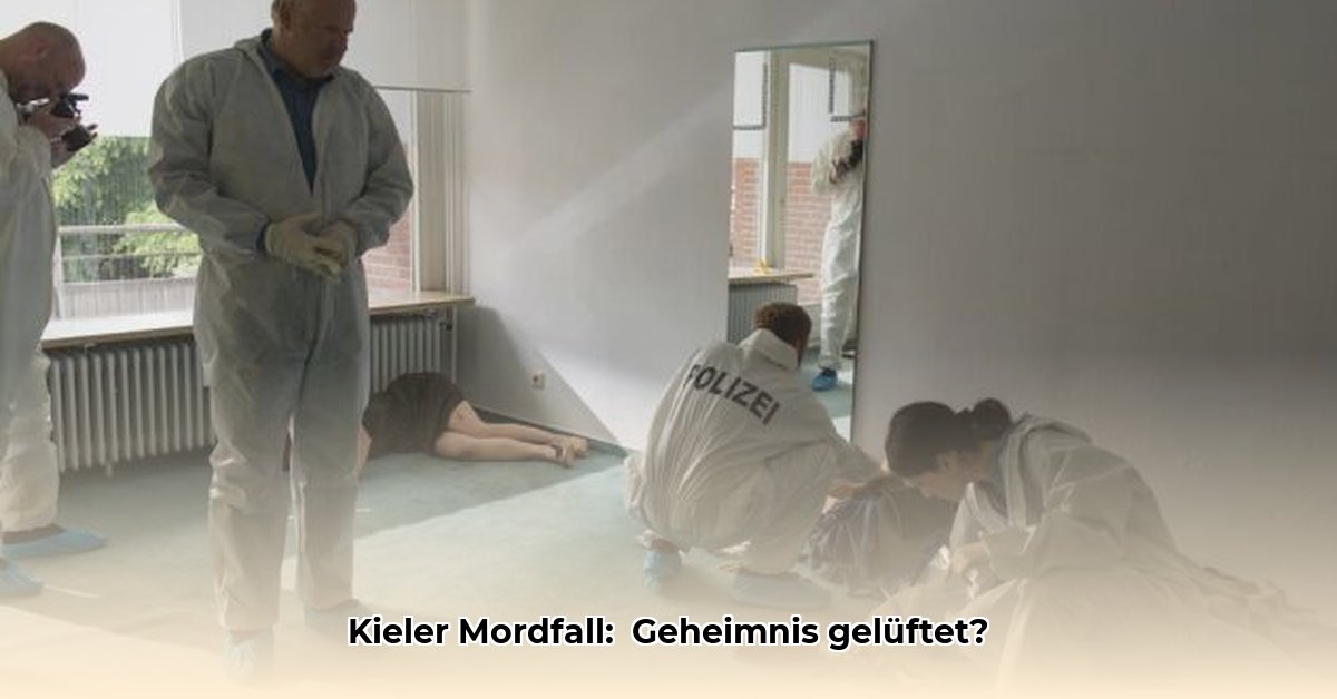 borowski-und-das-fest-des-nordens